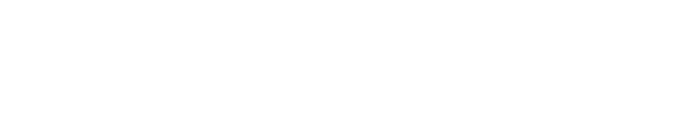 UIX Academy Organisator